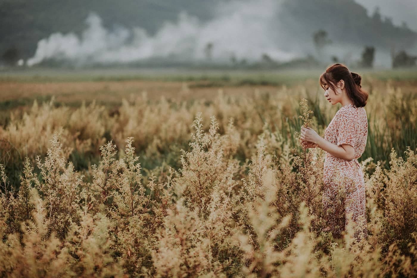 A person standing in a field of swaying grass against a misty mountain range — how far two ranges of action cross