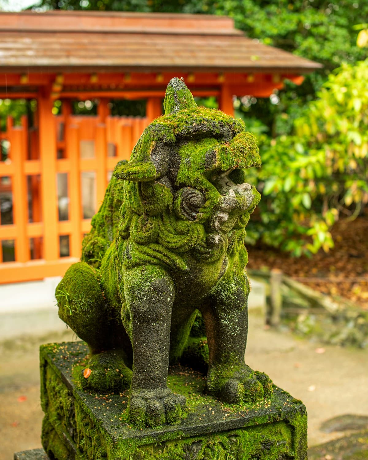 苔むした石像が語る時の流れ——数千年の叡智を受け継ぐ陰陽五行