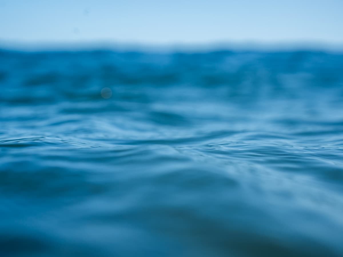 A calm ocean surface — Stem Energy Values layered with the Eight Gate Method to read the flow of force
